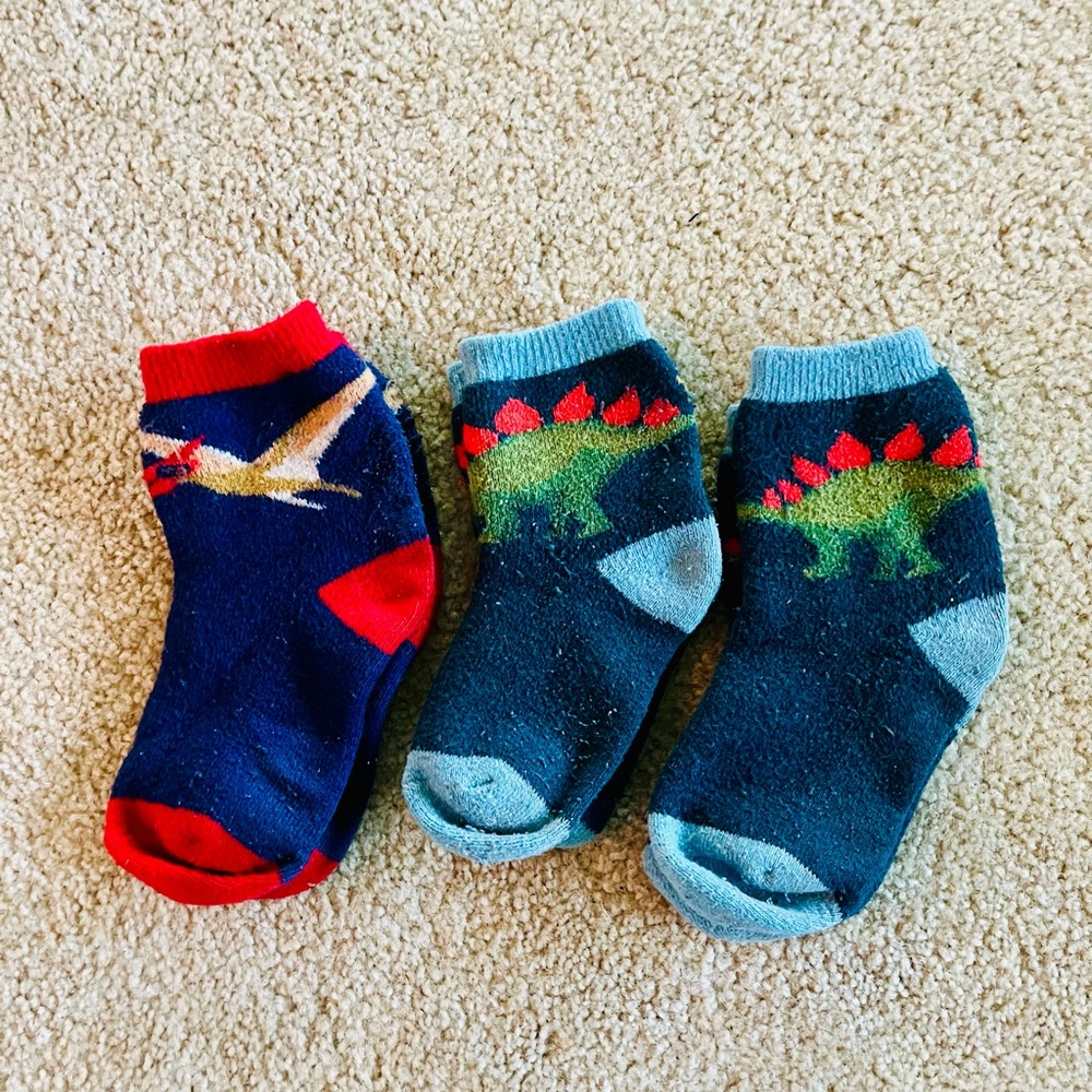 Dino Socks